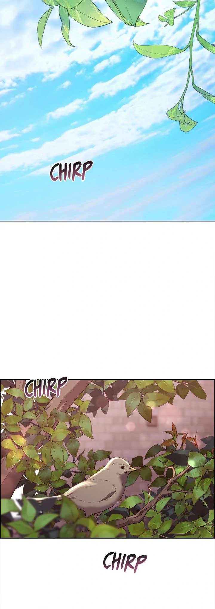 ch 141 31