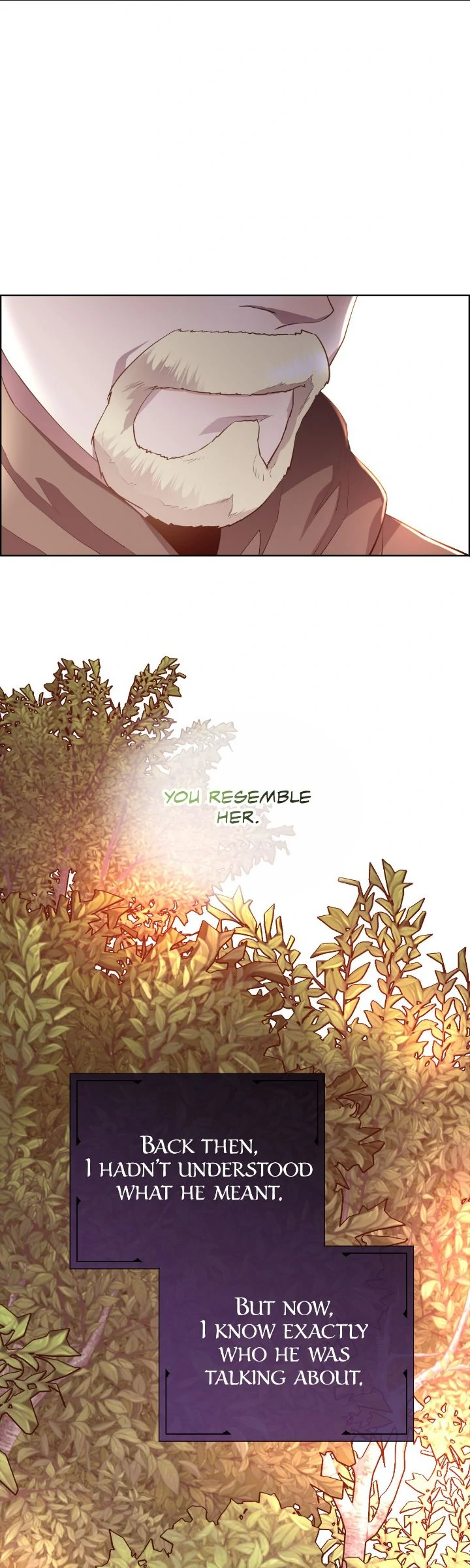 ch 142 18