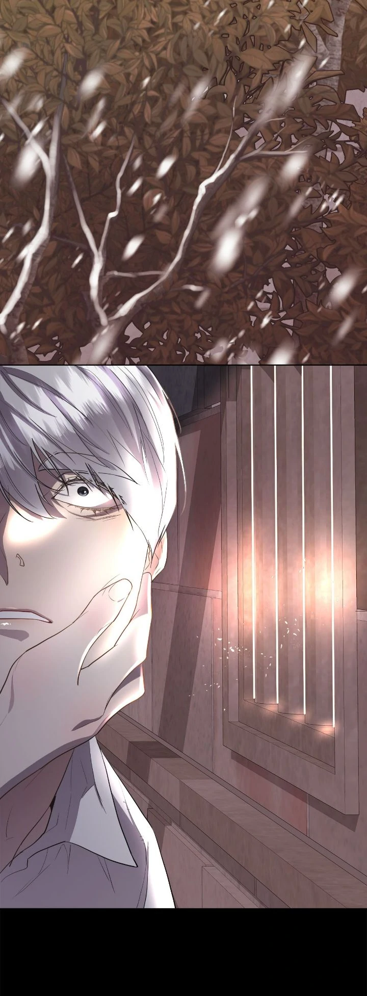 ch 142 8