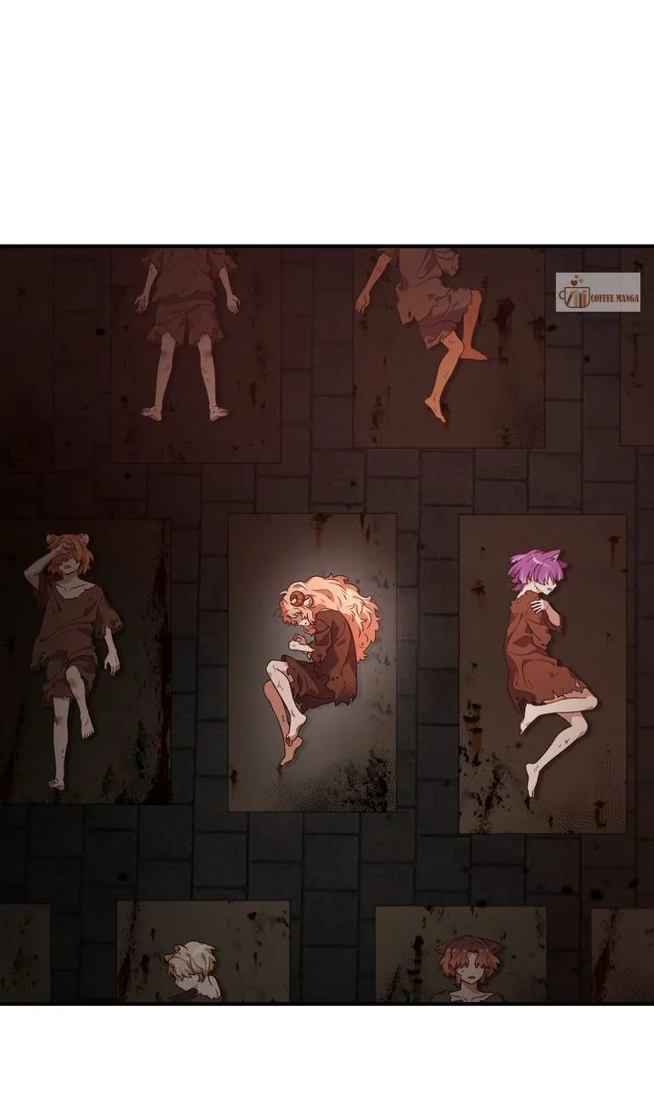 ch 138 81