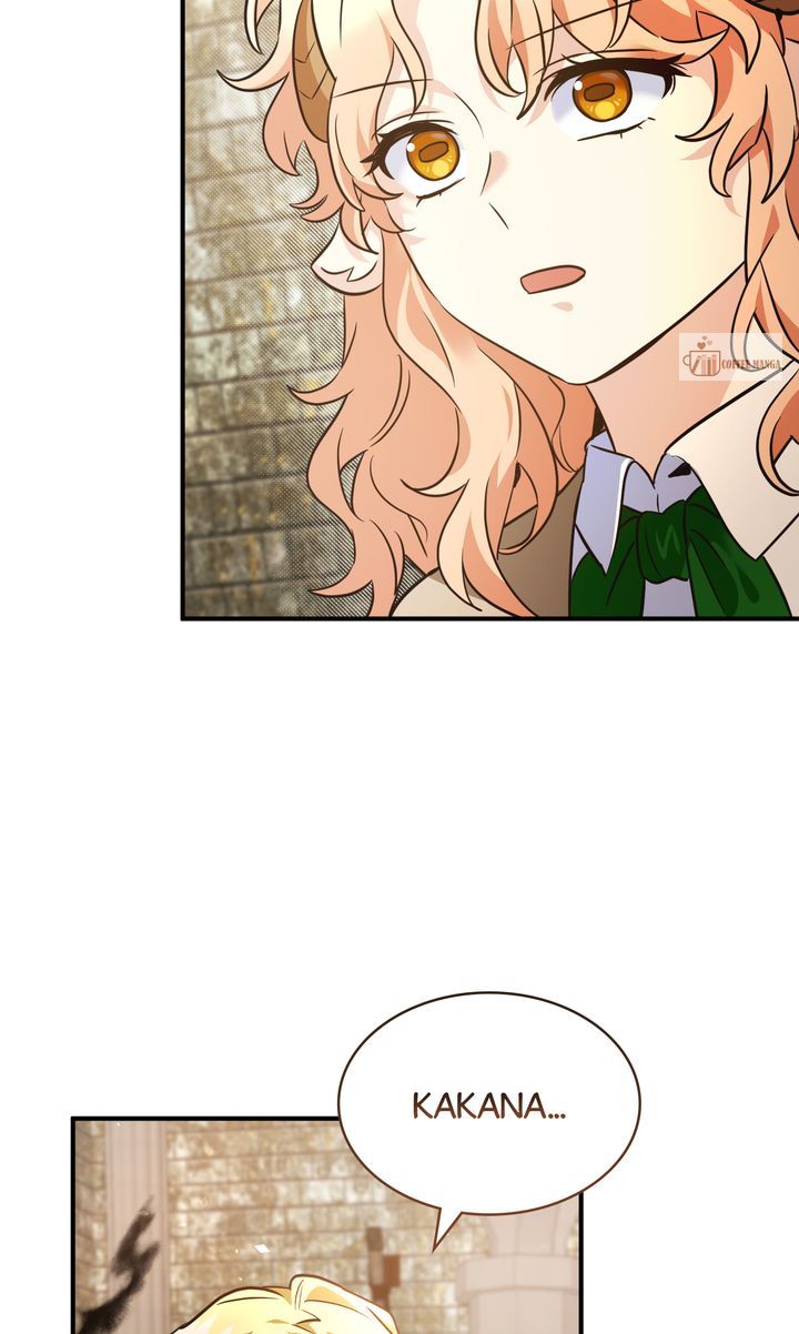 ch 142 44