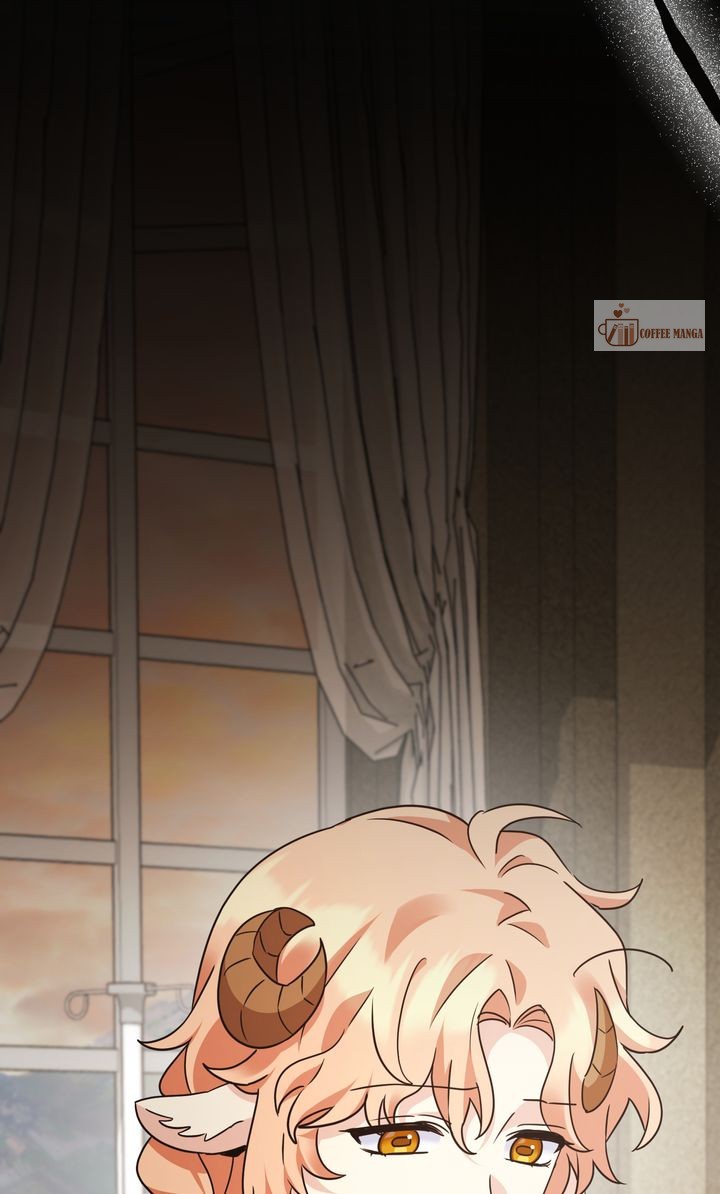 ch 145 13