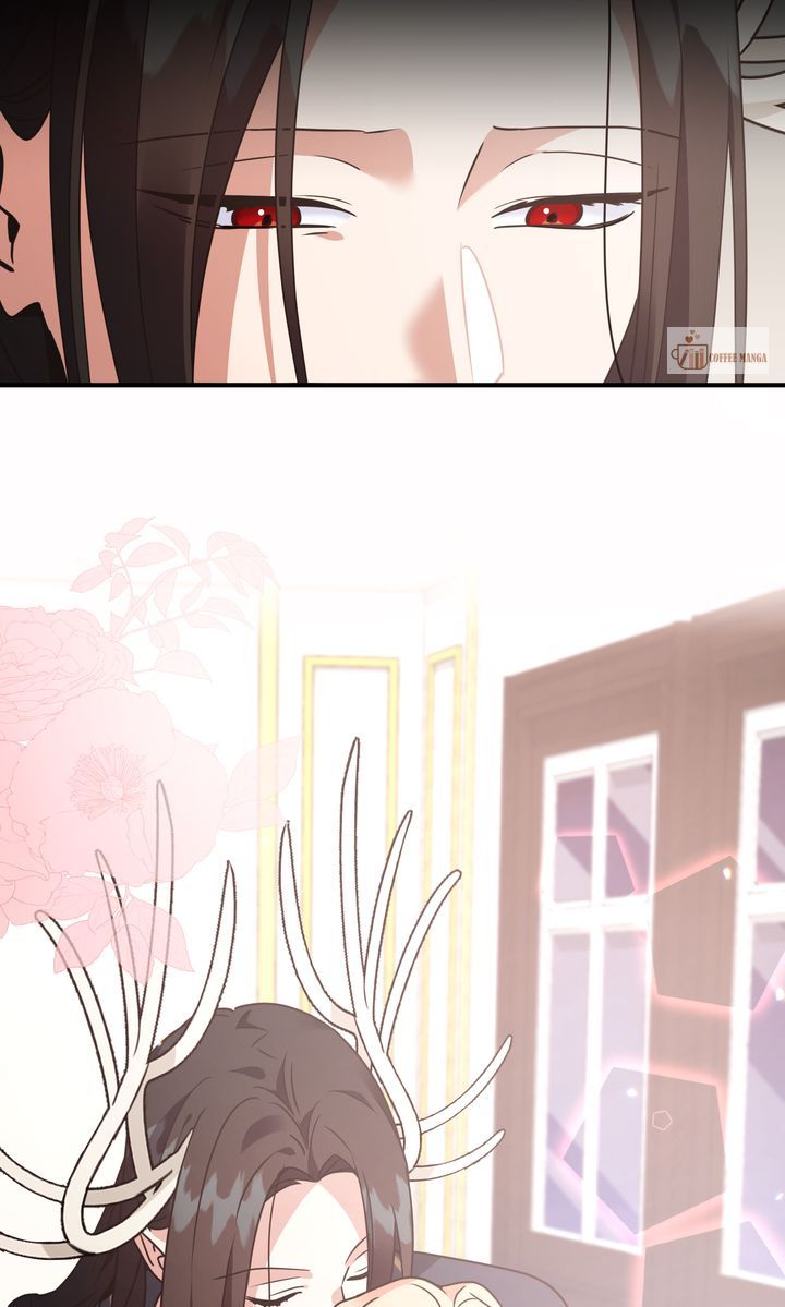 ch 146 34