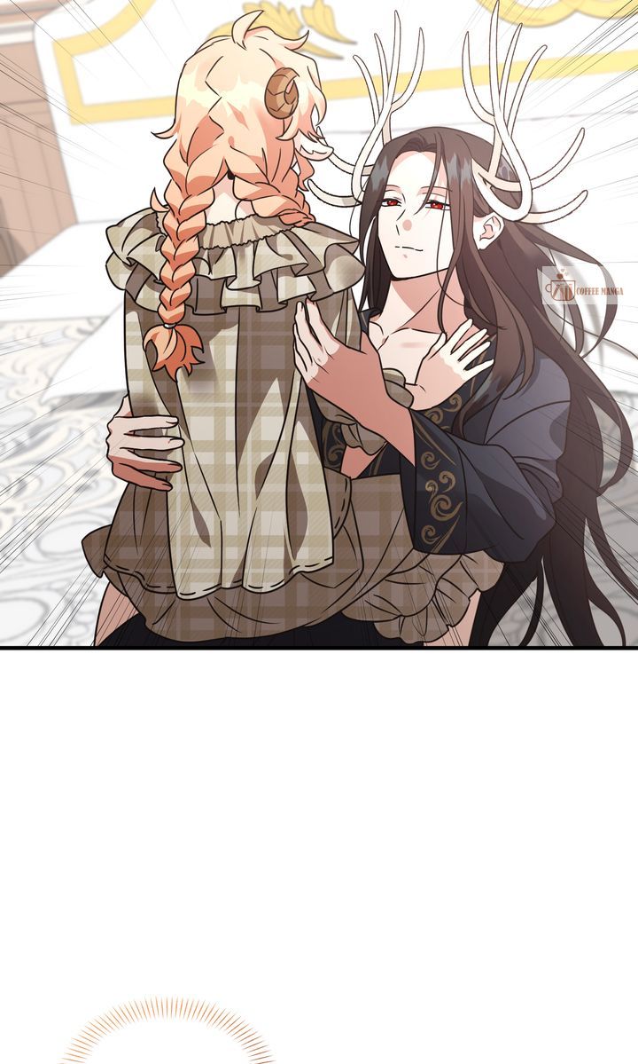 ch 146 41
