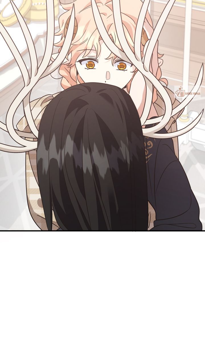 ch 146 5