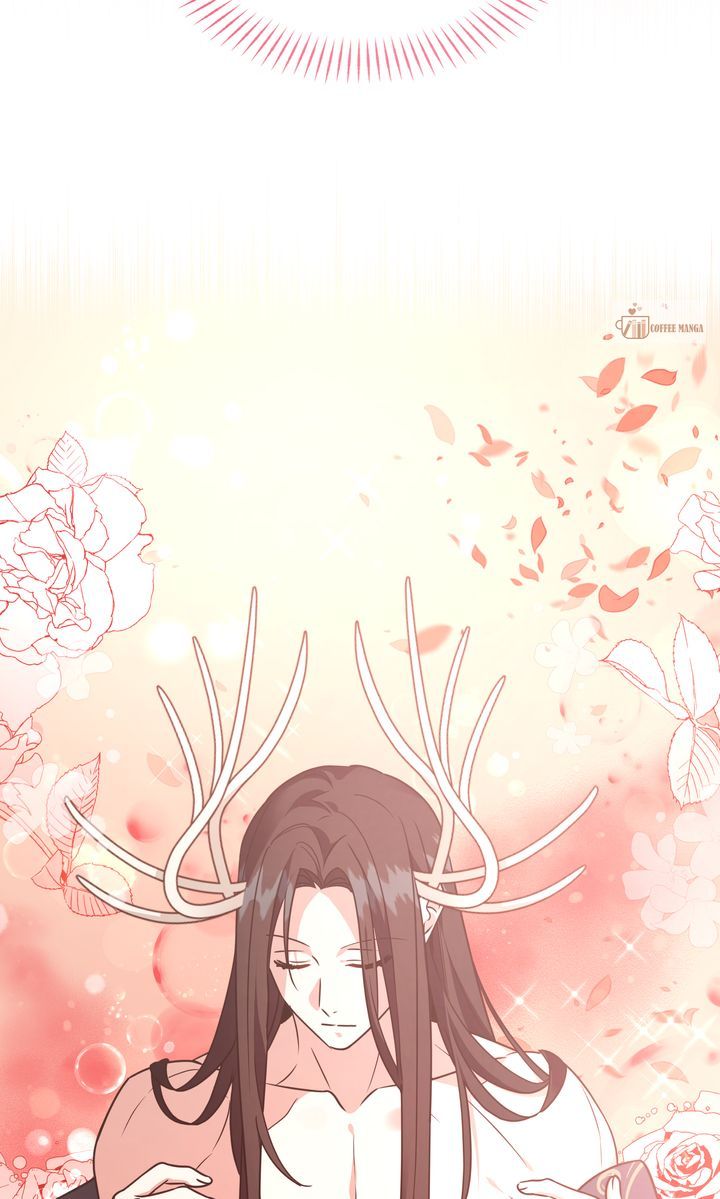 ch 146 52