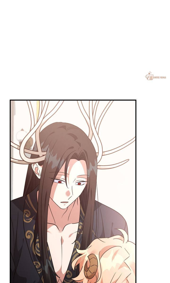 ch 146 6