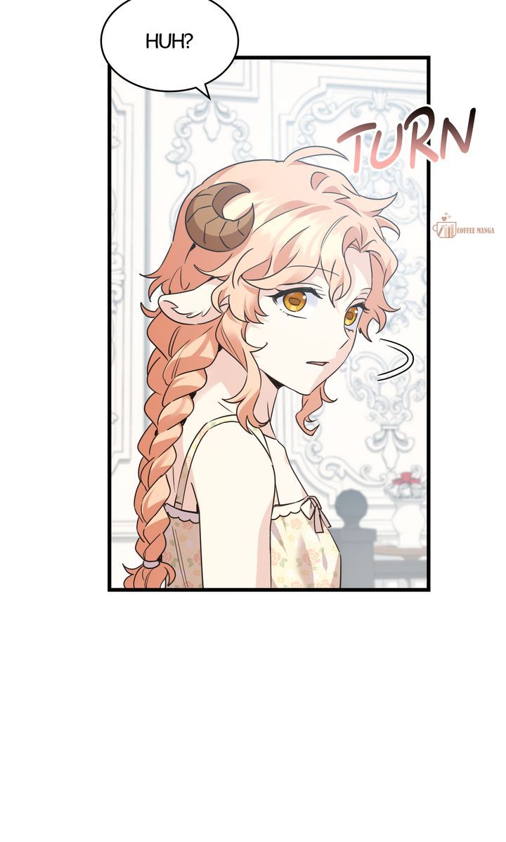 ch 146 72