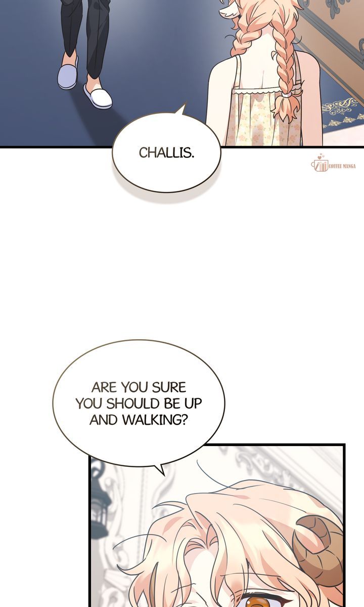 ch 146 74