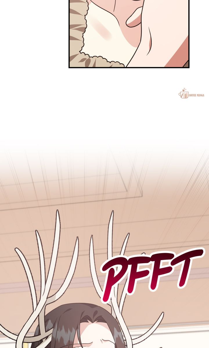 ch 146 8
