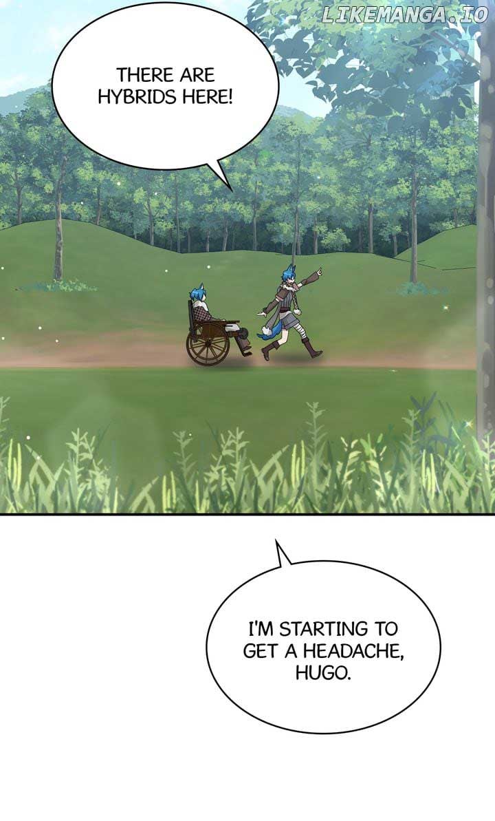 66