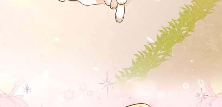 ch 146 88