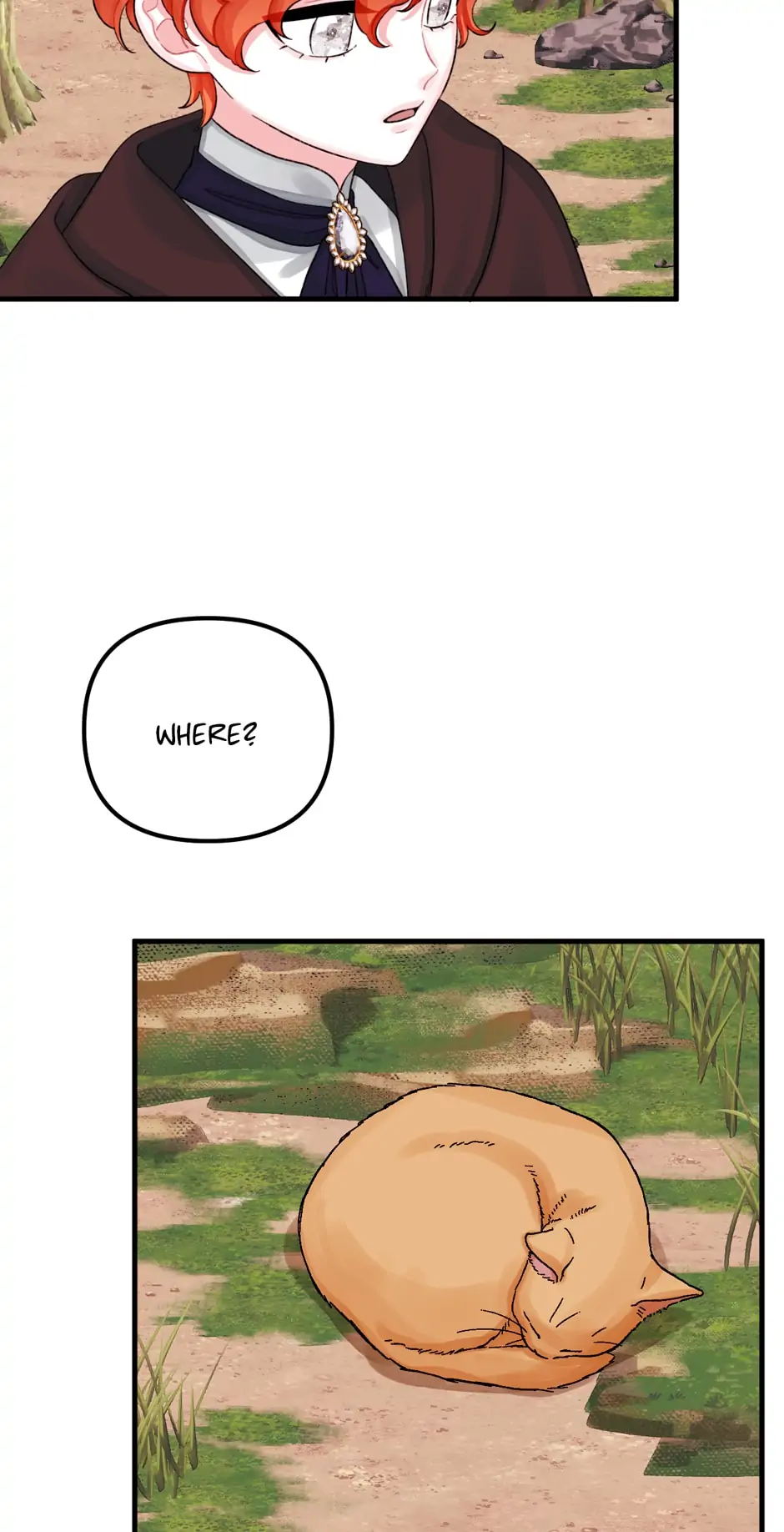 53