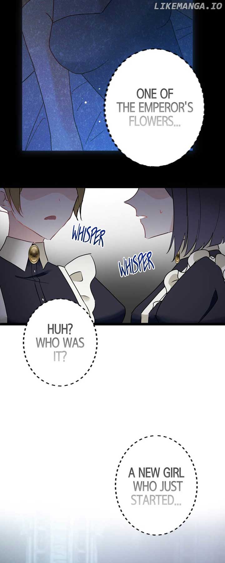 To Kill My One and Only Solace Chapter 10 219 05