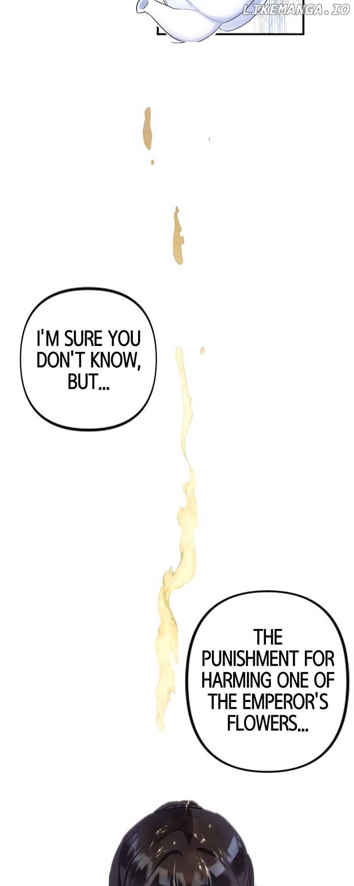 To Kill My One and Only Solace Chapter 10 238 24