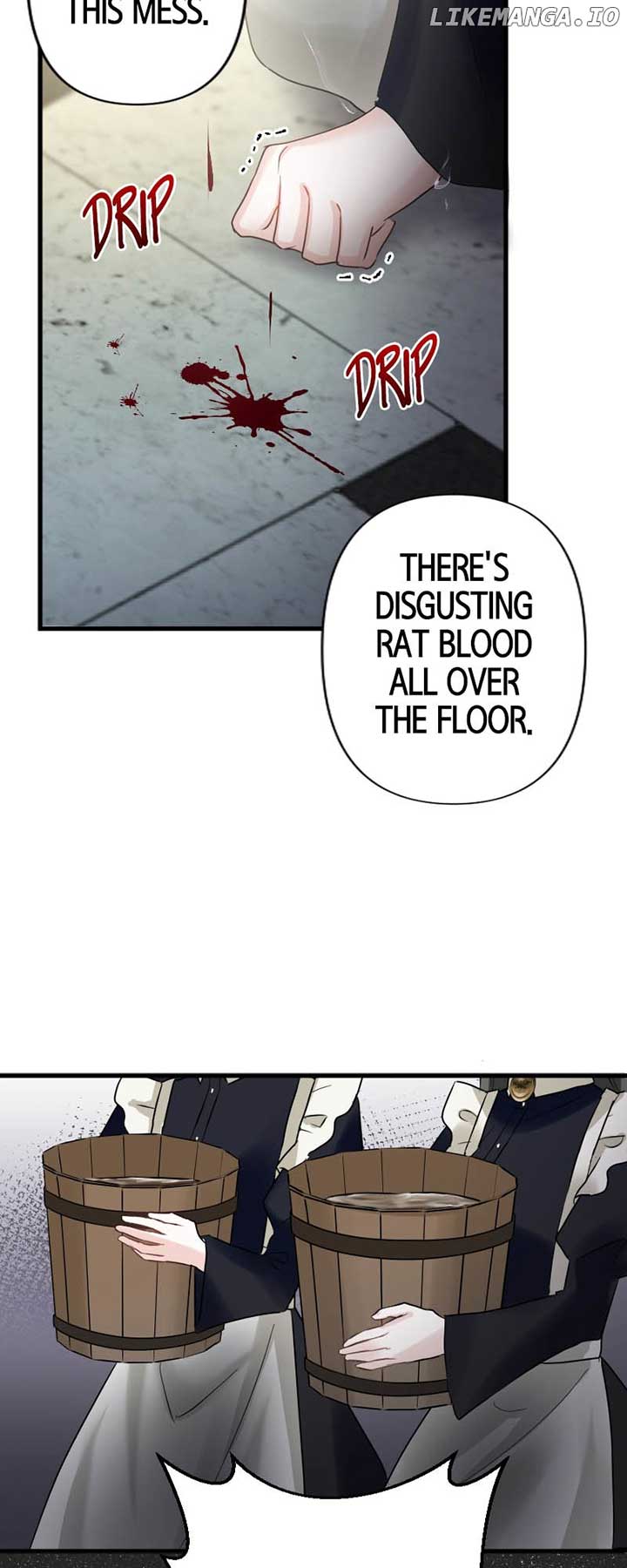 To Kill My One and Only Solace Chapter 10 242 28