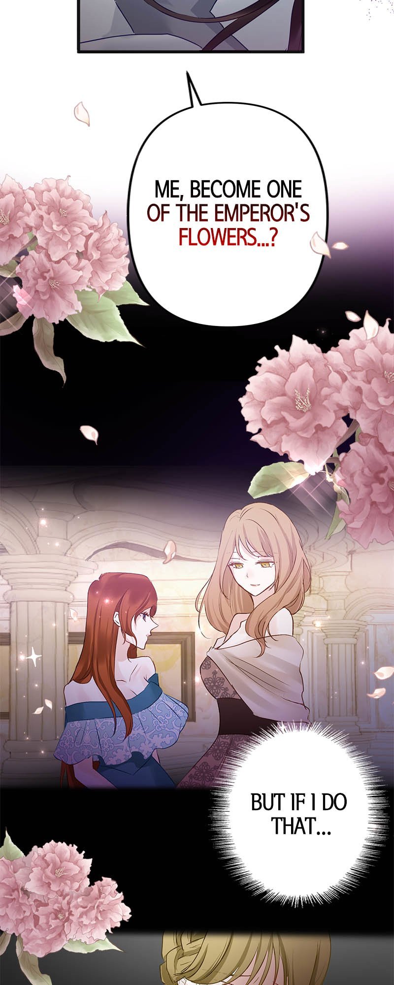 To Kill My One and Only Solace Chapter 30 274 35