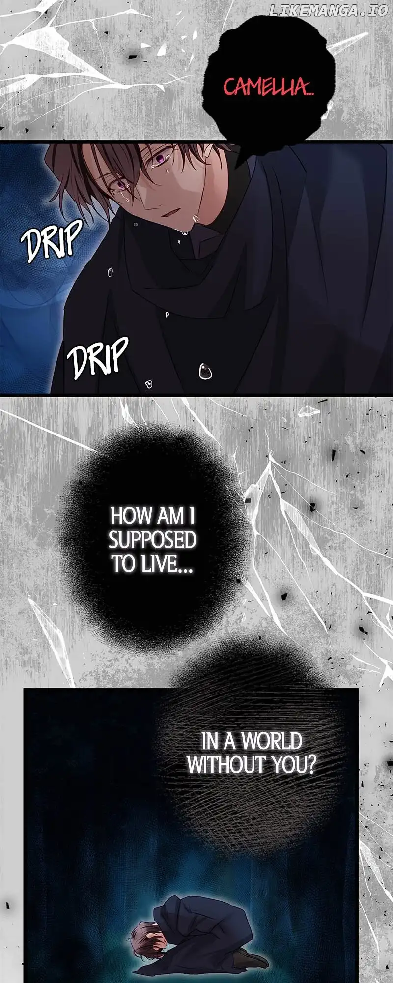 To Kill My One and Only Solace Chapter 41 307 066