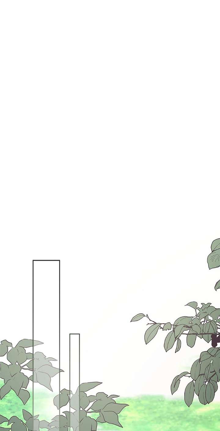 ch 83 80