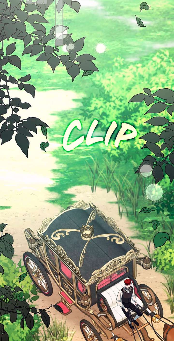 ch 83 81