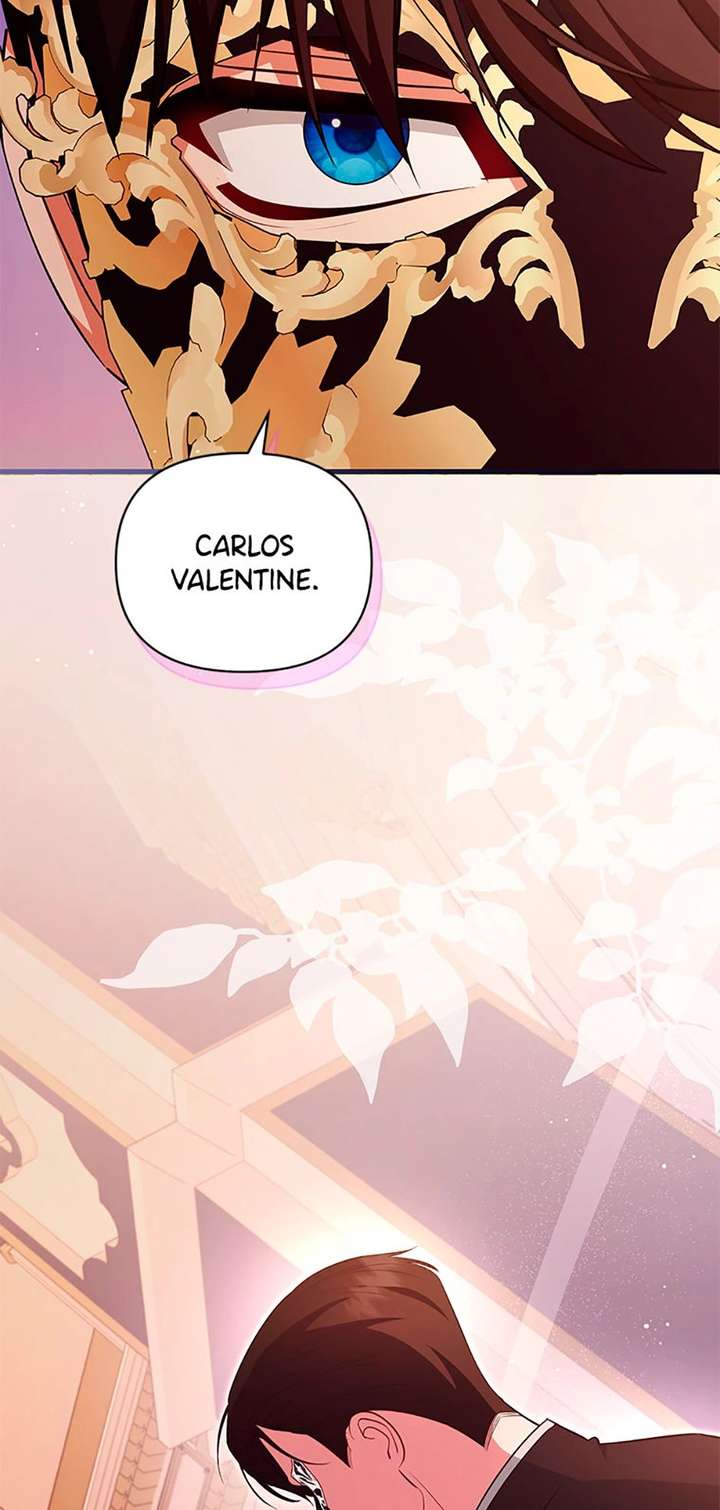 ch 95 23