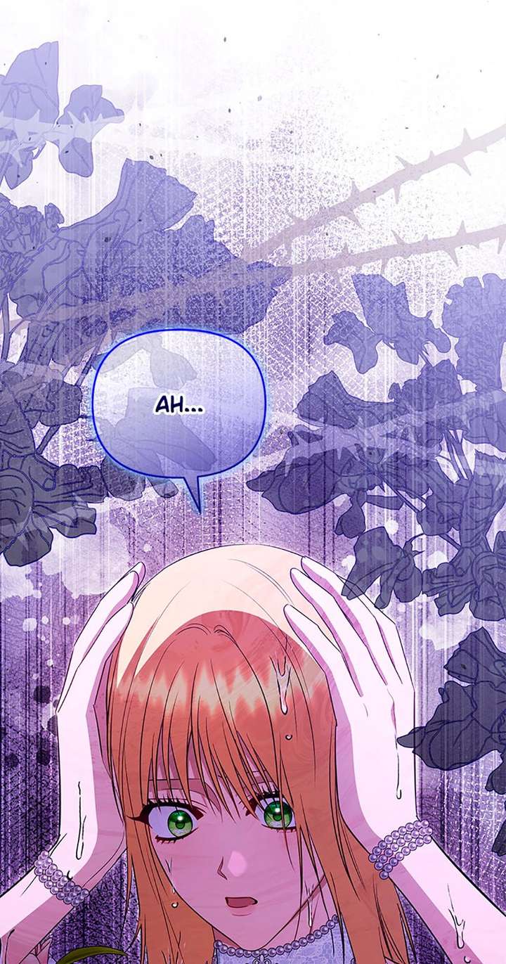 ch 96 31