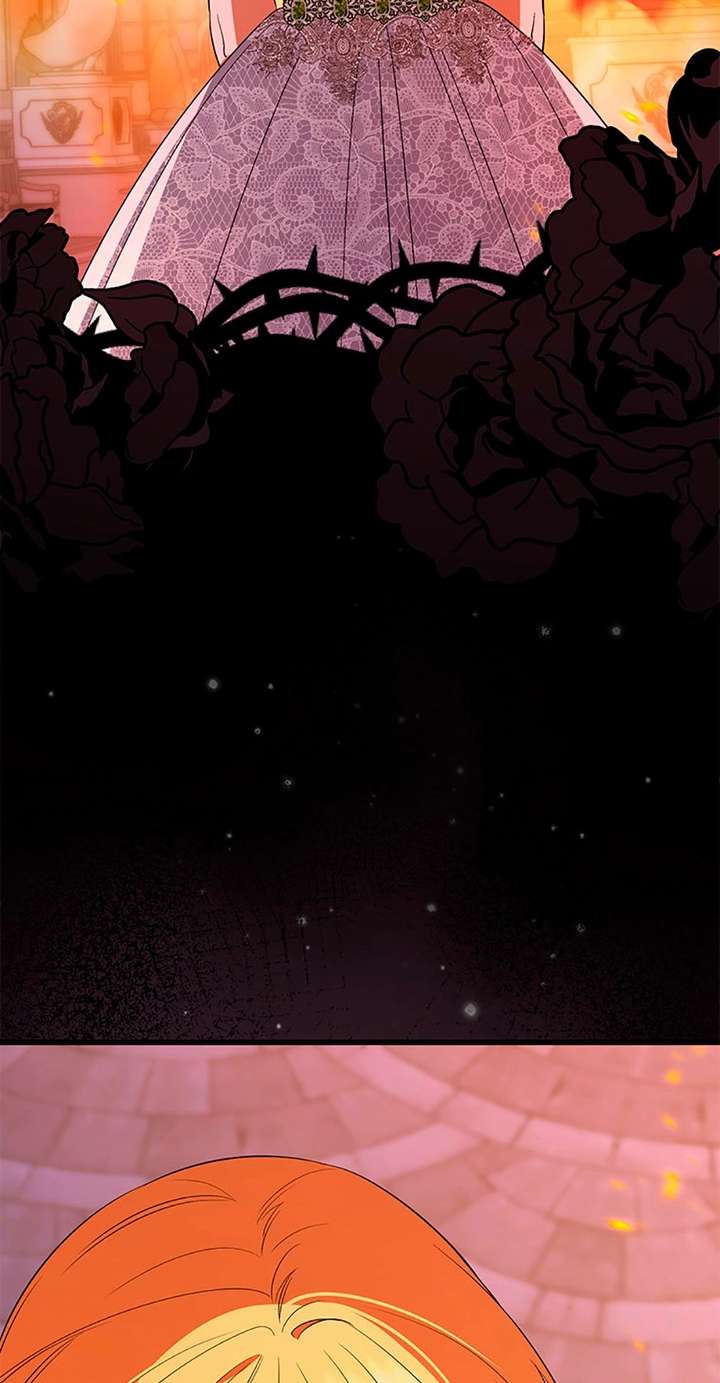 ch 96 83