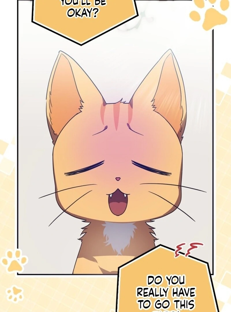 ch 88 19