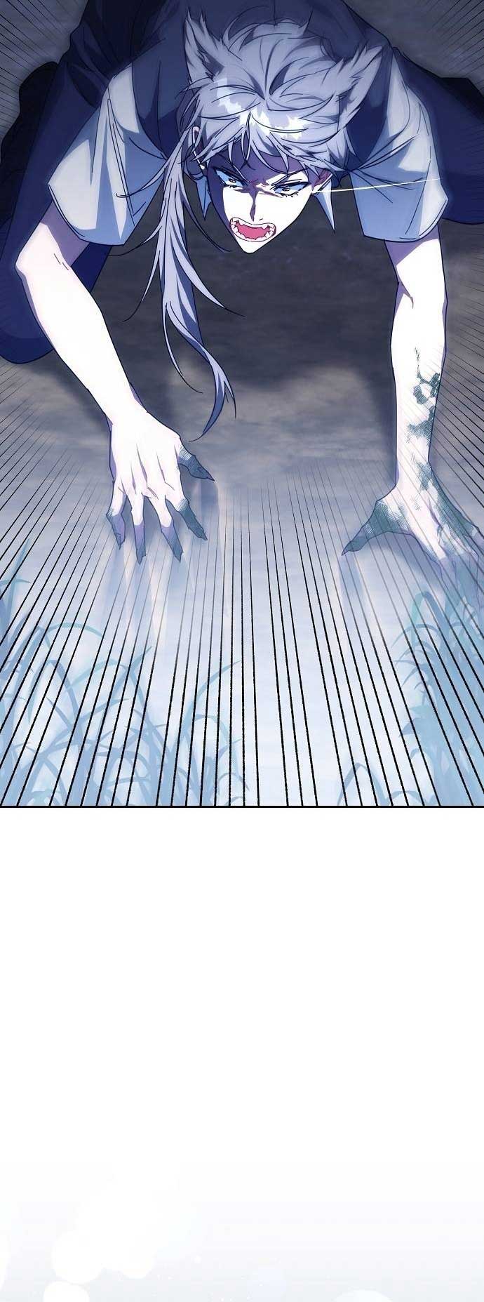 81