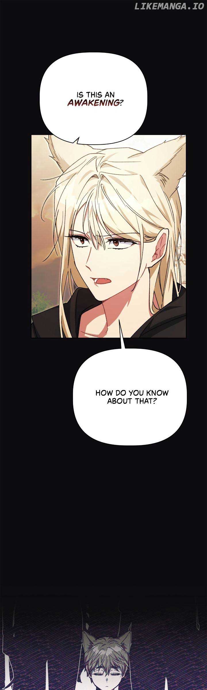 ch 63 13