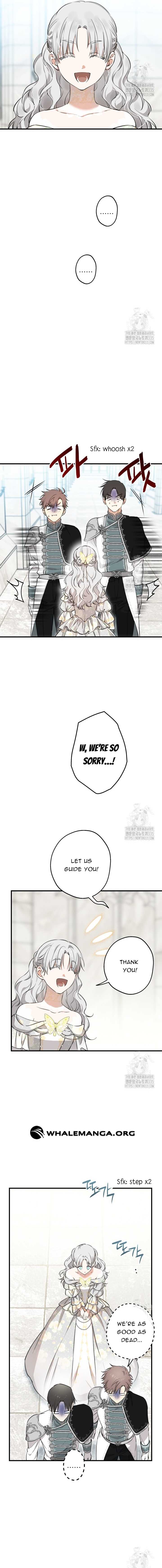ch 113 13