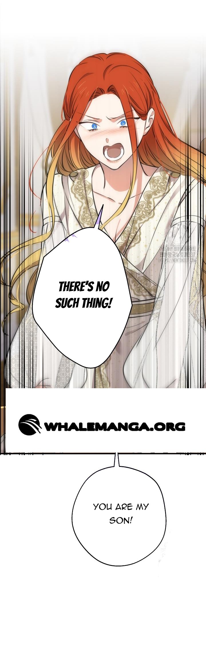 ch 116 41