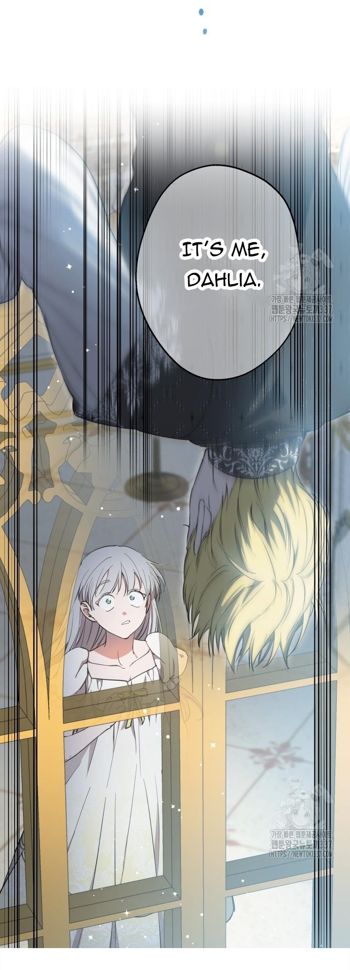 ch 116 83