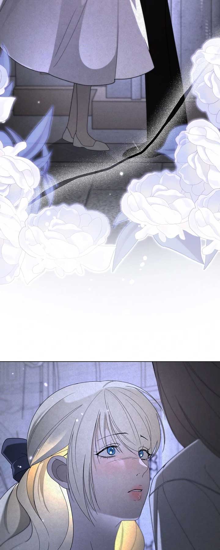 ch 48 2