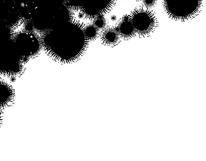 ch 48 11