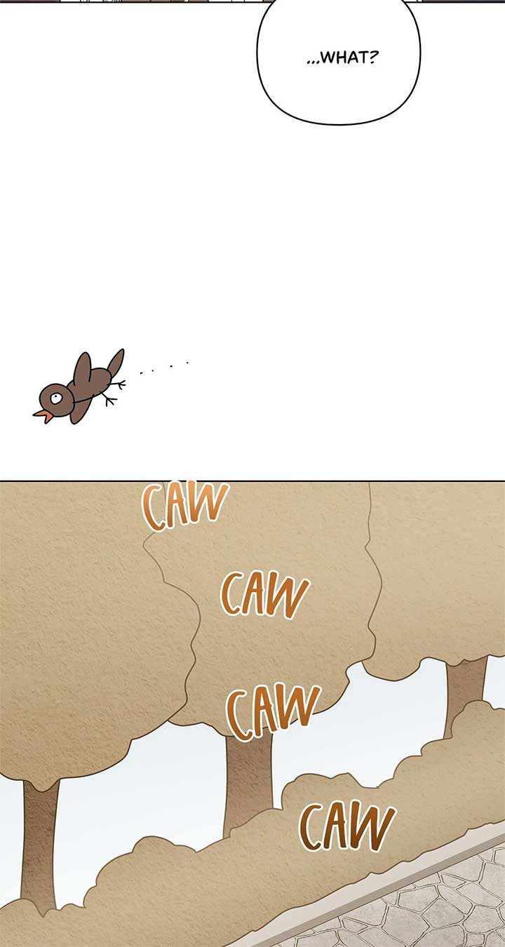 ch 52 61