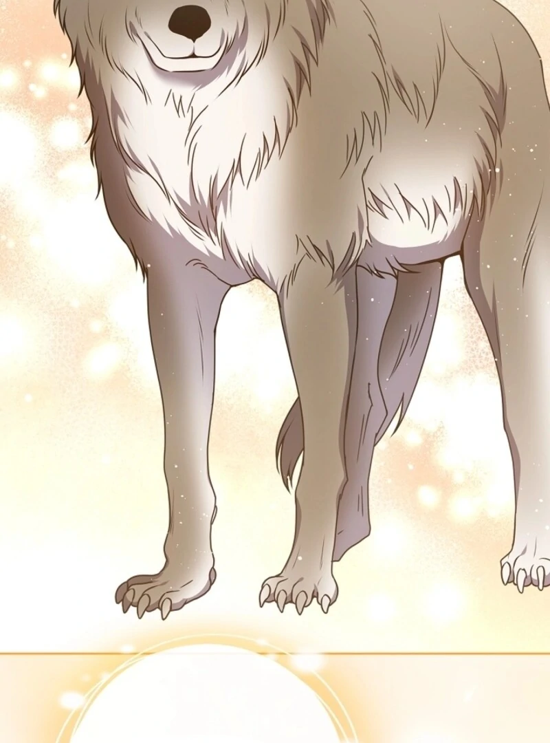 ch 58 108