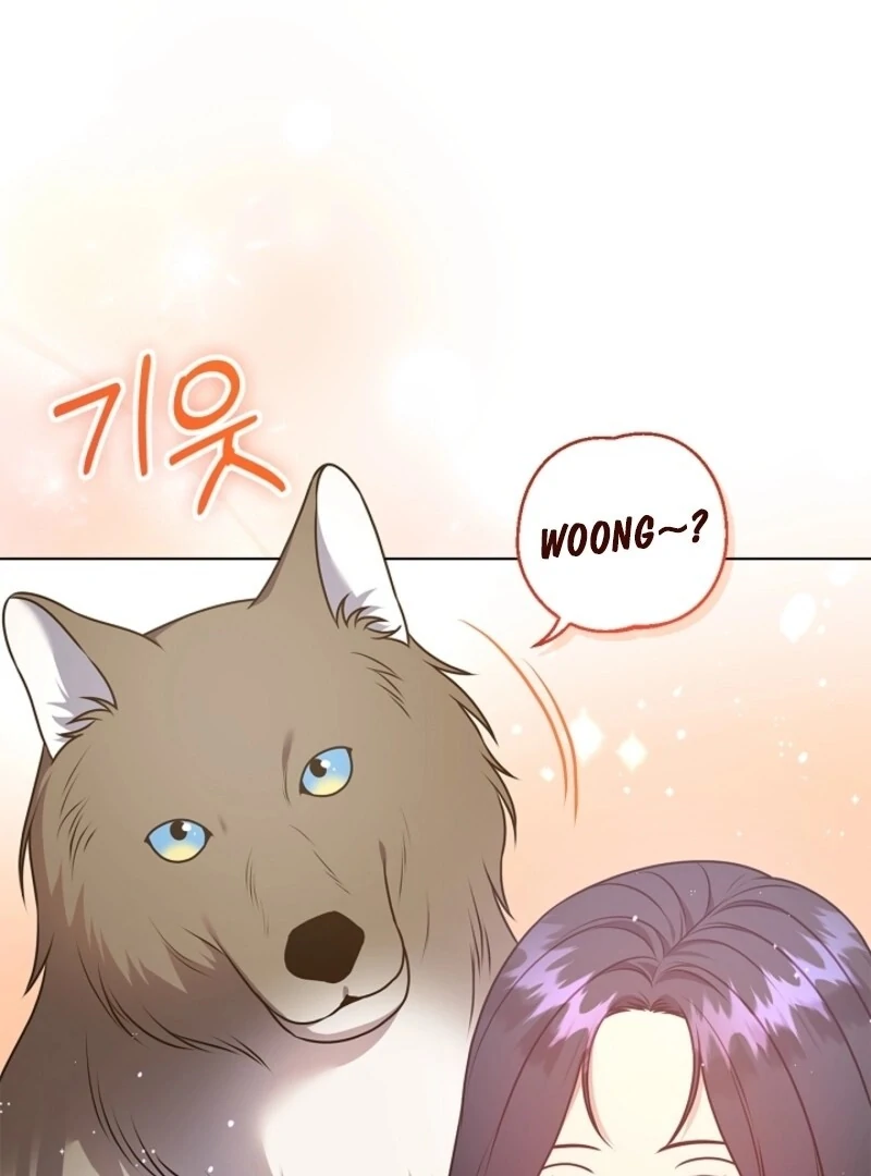 ch 58 111