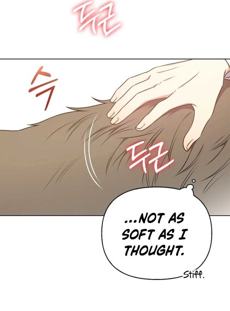 ch 58 117