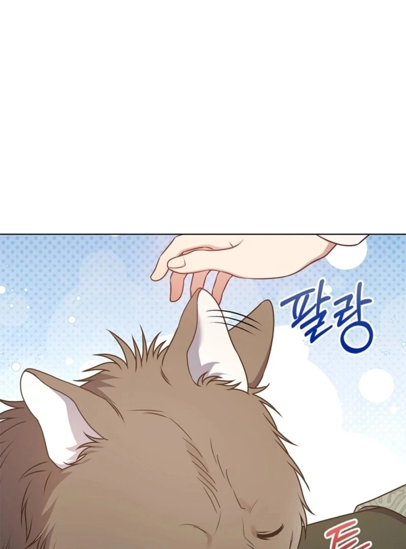 ch 58 118