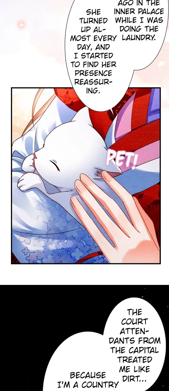 The Imperial Court Maiden’s Curse Chapter 8 240 4bf525c7b405