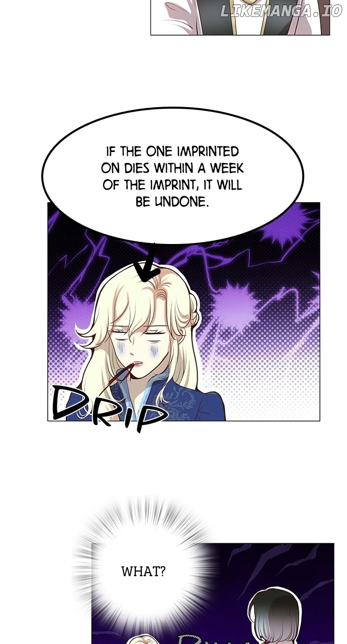 ch 44 41