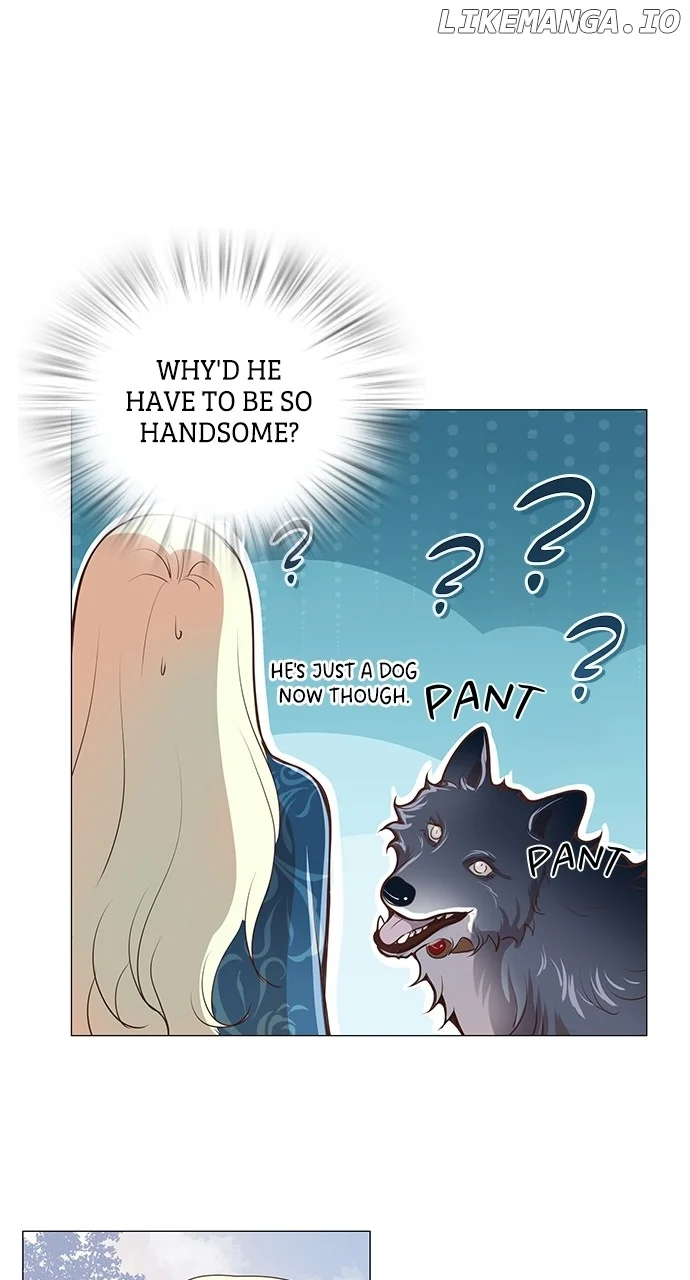 ch 46 37