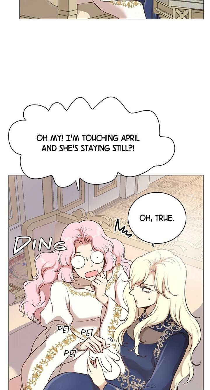 41