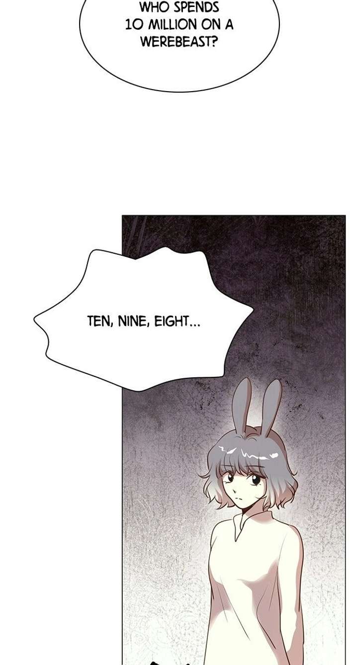 I Became the Rabbit Heroine’s Stepmother Chapter 84 197 ch 84 14