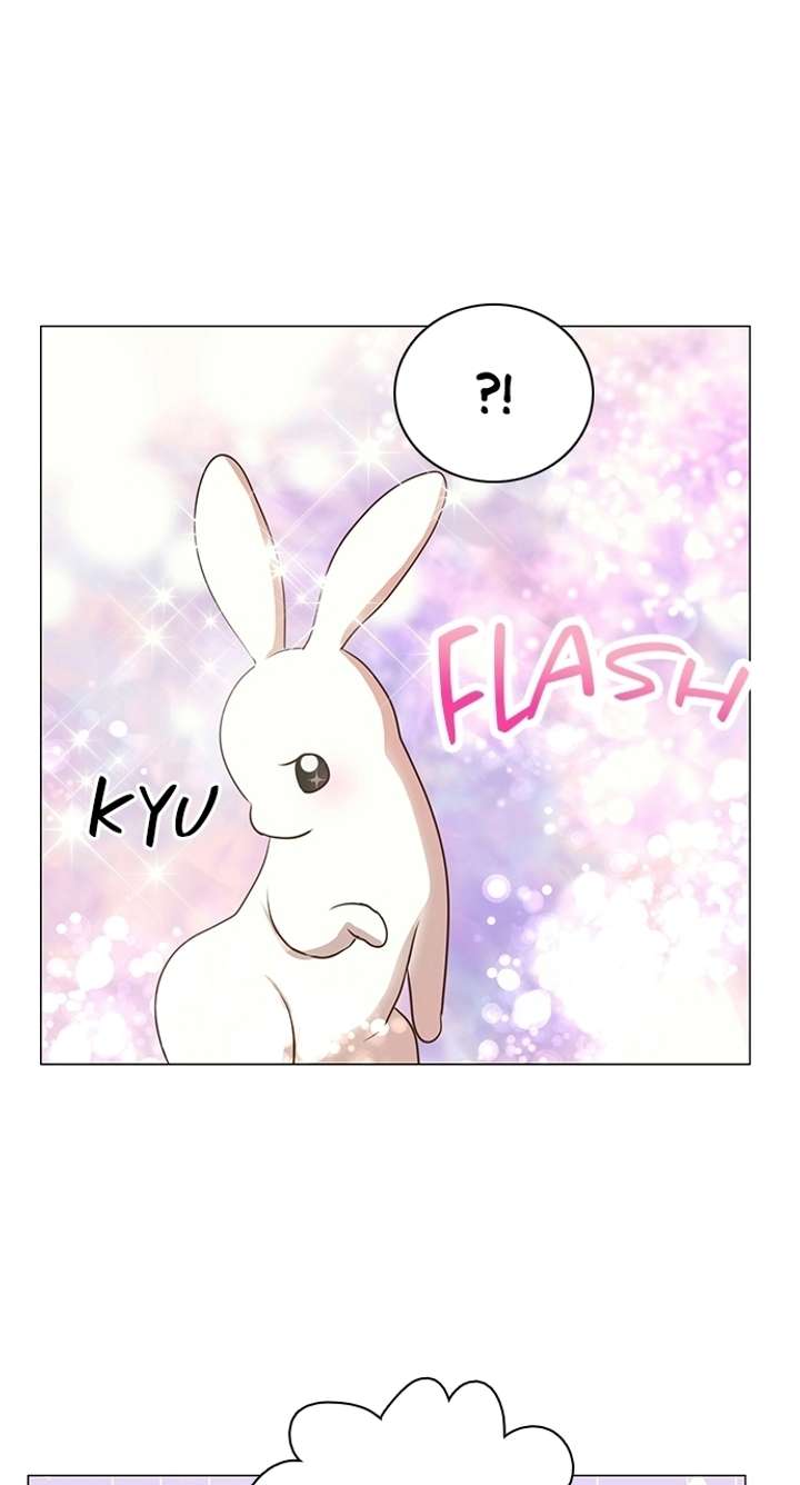 ch 89 48