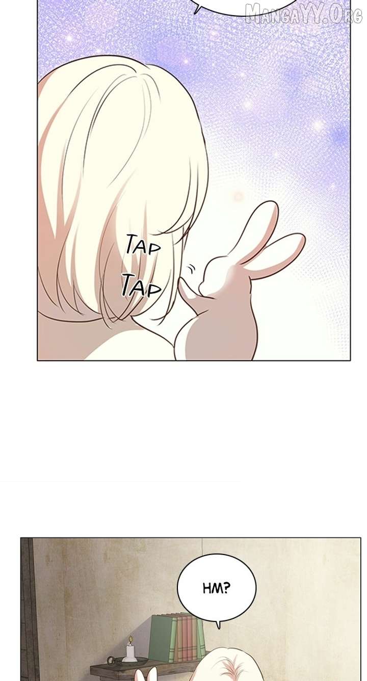 ch 90 39