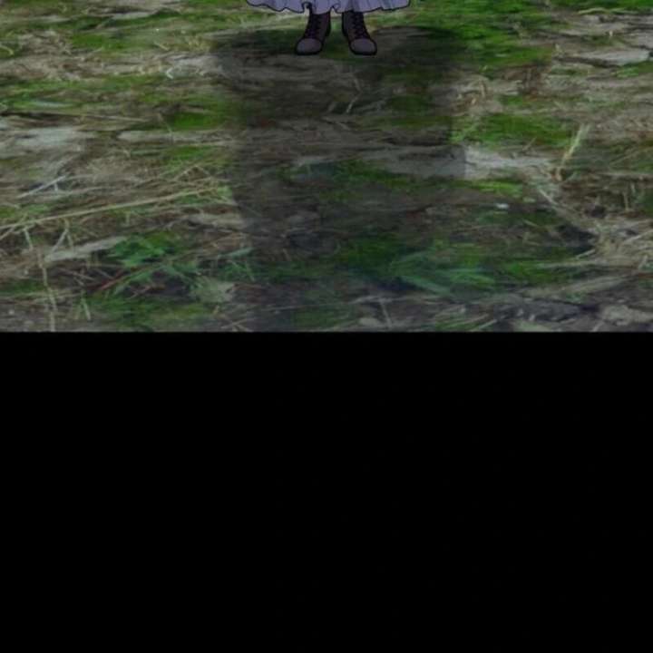 81