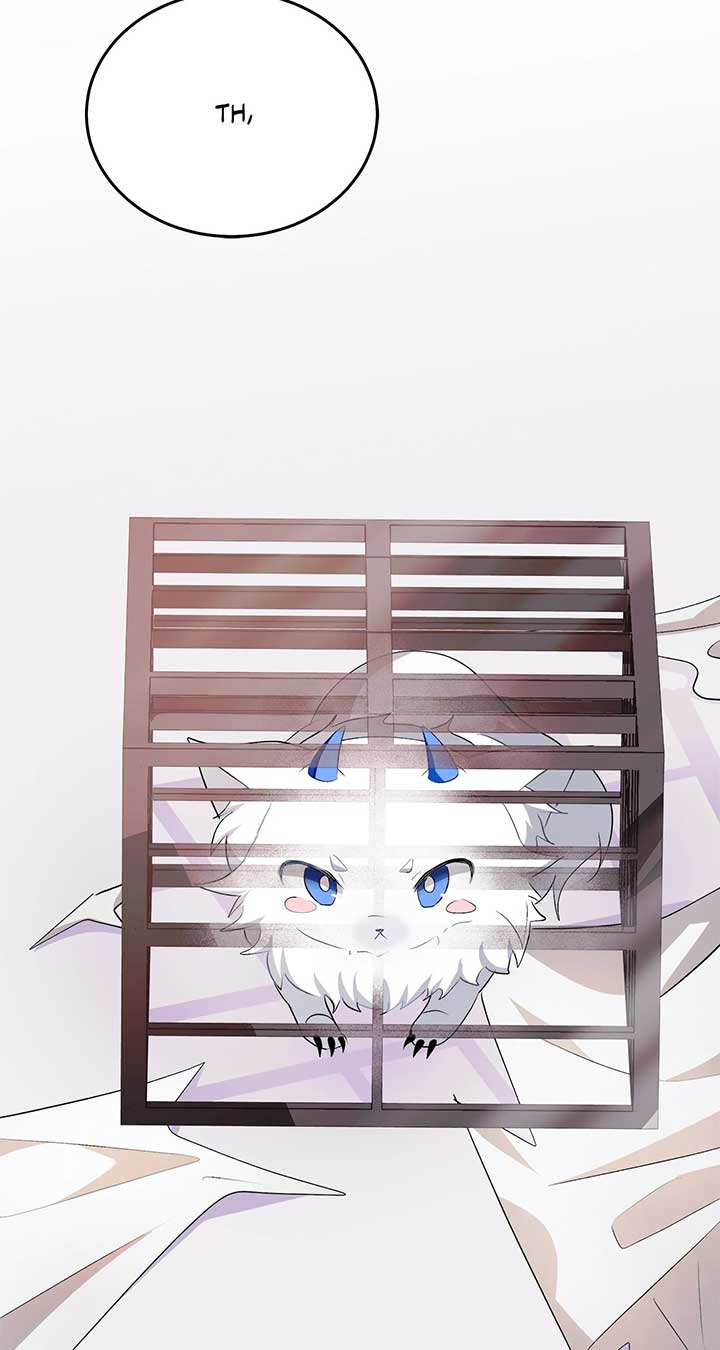 ch 40 16