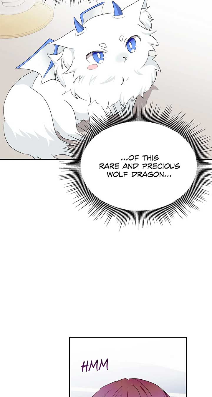 ch 40 43